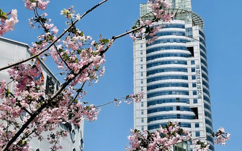 上海普陀区中关村科技大厦办公工位