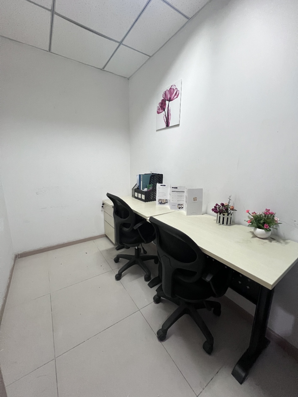 2025年共享办公增值服务赛道迎爆发期：细分领域竞争格局与突围策略分析