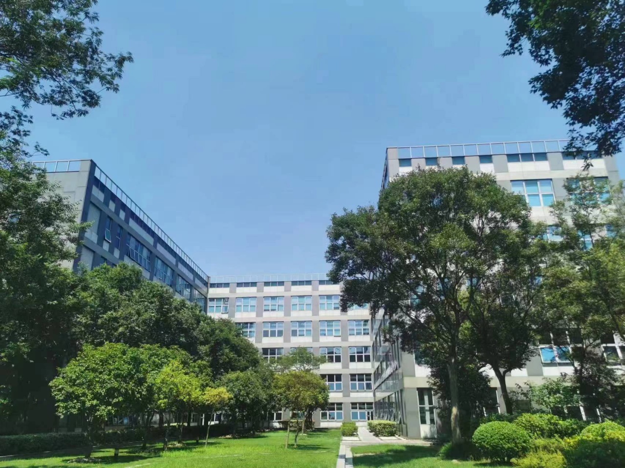 【张江高科地铁500米】苏河汇青奢空间 | 40㎡南向阳光房 | 6工位精创基地 | 7500全包税